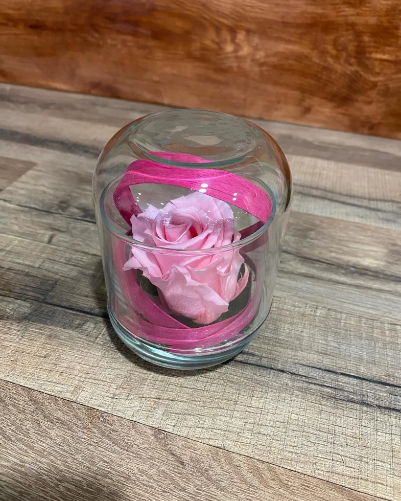 Fleurs Séchées #06